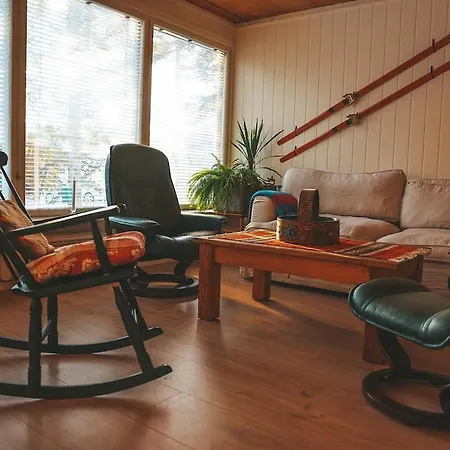 Close To Cross-country Skiing, Slalom Slope And Mountains - Soltun Geilo! Hol (Buskerud)