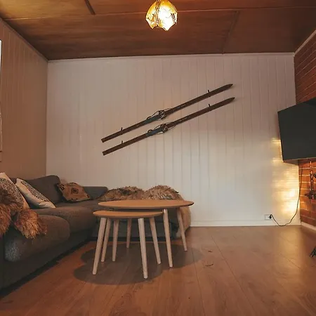 Close To Cross-country Skiing, Slalom Slope And Mountains - Soltun Geilo! Tatil Evi *